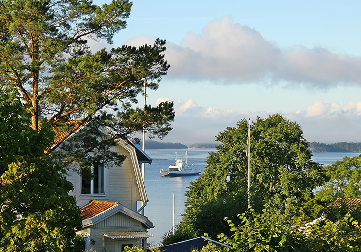 Helikopterbilder 2010 004